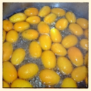 Cuisson des Kumquats